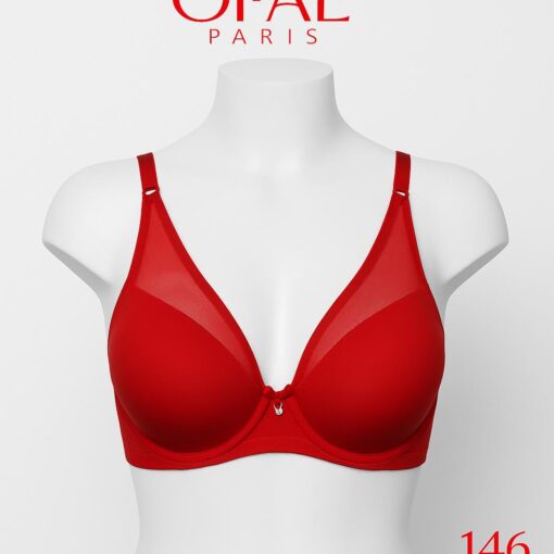 Push-Up bra with sheer mesh